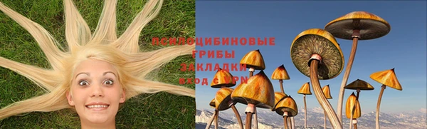 а пвп мука Заволжье