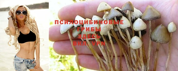 а пвп мука Заволжье